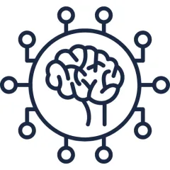 Brain Network